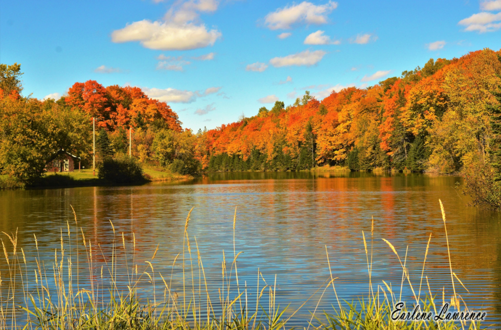 fall in Maine nature scene